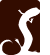 SALAMANDER DESIGNS